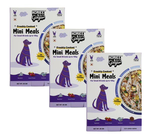 Homiee & Ginger Grain Free Mini Meals Fish Feista Fresh Food for Dogs
