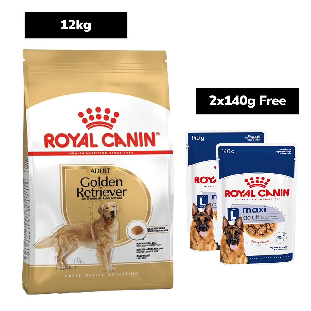 Royal Canin Golden Retriever Adult Dog Dry Food Dogs- Dry Food Royal Canin 12kg+2x140g (Wet Free)