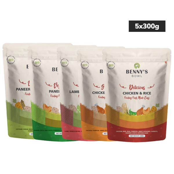 Bennys Bowl Varity Pack Dog Fresh and Wet Food