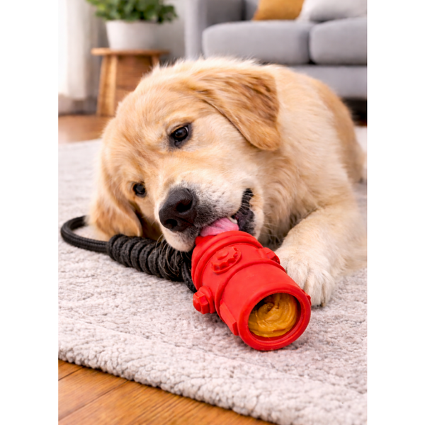 Talking Dog Club Sturdy Fire Hydrant Rubber & Rope Toy for Dogs (Red)
