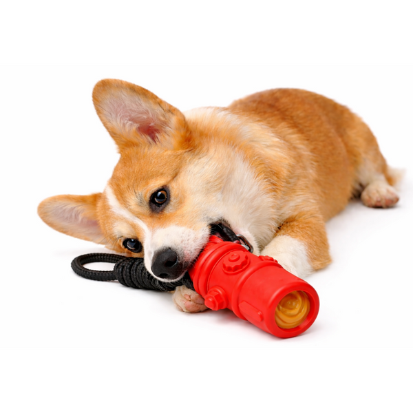 Talking Dog Club Sturdy Fire Hydrant Rubber & Rope Toy for Dogs (Red)