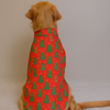 15 Furries Pine Tree Mendous Joy Shirt for Dogs (Red) Dogs-Clothing & Accessories 15 Furries Dropship