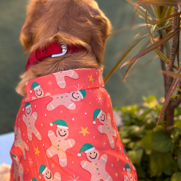 15 Furries Gingerbread Man Tshirt for Dogs