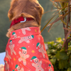 15 Furries Gingerbread Man Tshirt for Dogs Dogs-Clothing & Accessories 15 Furries Dropship