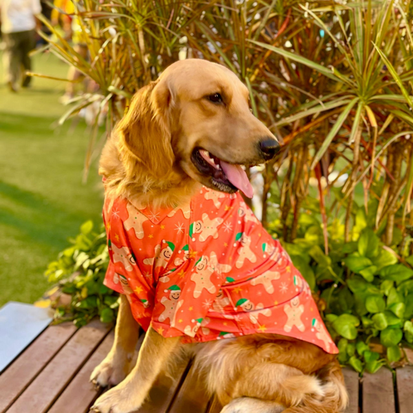 15 Furries Gingerbread Man Tshirt for Dogs