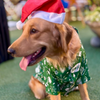 15 Furries Winter Wonderland Shirt for Dogs Dogs-Clothing & Accessories 15 Furries Dropship XS