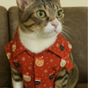 15 Furries Snowy Shirts for Cats (Red) Dogs-Clothing & Accessories 15 Furries Dropship