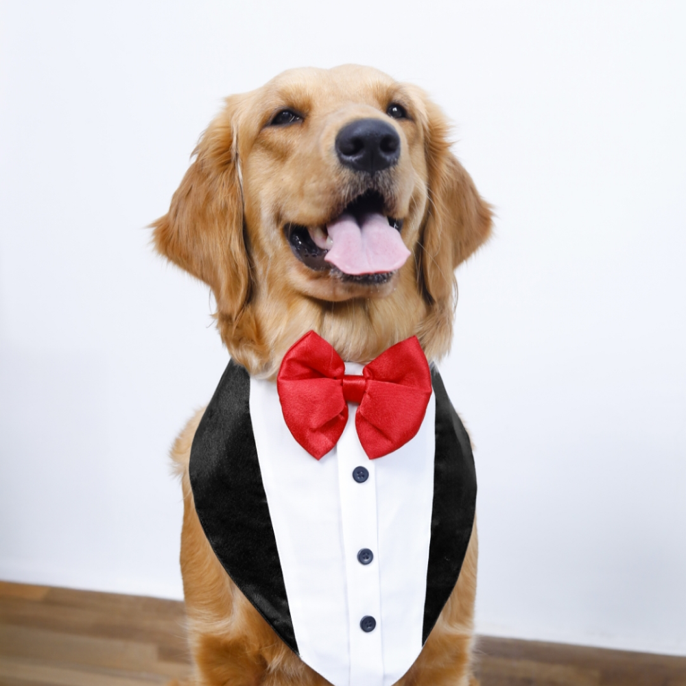 15Furries Tuxedo Bandana for Dogs Dogs-Clothing & Accessories 15 Furries Dropship S