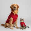 Skatrs Red Sweater For Dogs and Cats Both-Clothing & Accessories Skatrs