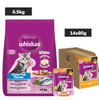 Whiskas Kitten Cat Food Combo |Ocean Fish Dry & Chicken with Salmon in Jelly in Gravy Wet Cats- Dry food Whiskas 6.5kg+14x80g
