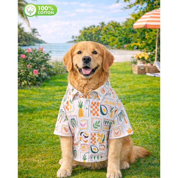 15 Furries Fruits Tropical Printed Cotton Shirts for Dogs