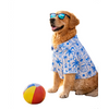 15 Furries Postcard Printed Cotton Shirts for Dogs (Blue Lagoon) Dogs-Clothing & Accessories 15 Furries Dropship
