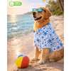 15 Furries Postcard Printed Cotton Shirts for Dogs (Blue Lagoon) Dogs-Clothing & Accessories 15 Furries Dropship XXS