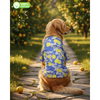 15 Furries Lemon Printed Cotton Shirts for Dogs (Santorini Blue) Dogs-Clothing & Accessories 15 Furries Dropship