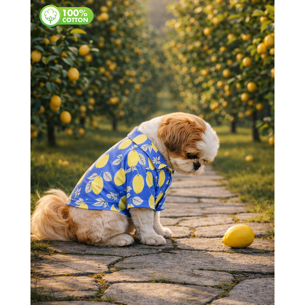 15 Furries Lemon Printed Cotton Shirts for Dogs (Santorini Blue)