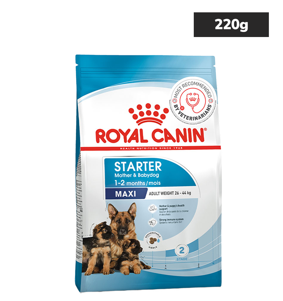 Royal Canin Maxi Starter, Mother & Babydog Dry Food Dogs- Dry Food Royal Canin 220g