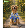 15 Furries Lemon Printed Cotton Shirts for Dogs (Santorini Blue) Dogs-Clothing & Accessories 15 Furries Dropship XXS