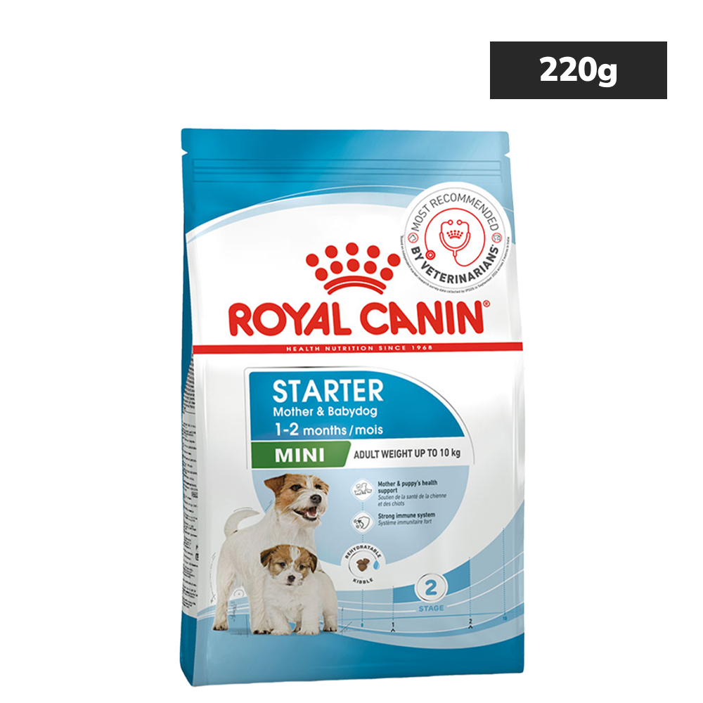 Royal Canin Mini Starter, Mother & Babydog Dry Food Dogs- Dry Food Royal Canin 220g