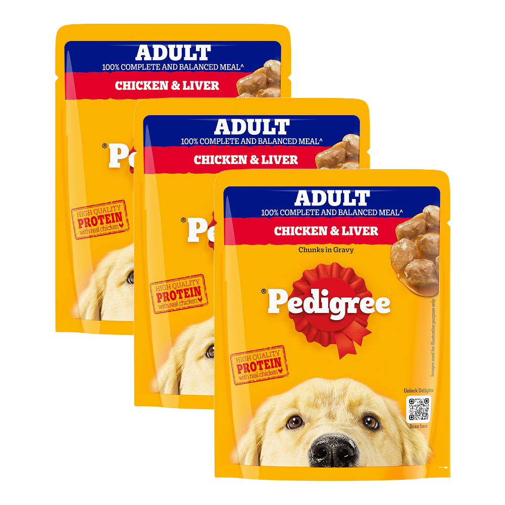 Pedigree Chicken and Liver Chunks in Gravy Adult Dog Wet Food (70g)