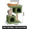 Furrlovers Activity Kitten Tree with Plush Fur Fabric and Detachable Bed (Green) Cats-Toys Furrlovers Dropship