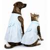 Skatrs Cotton Dress for Dogs and Cats (Blue and White Stripe) Both-Clothing & Accessories Skatrs S