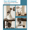 Furrlovers Fur Fabric Multilevel Activity Tree with Detachable Bed & Climbing Ladder for Cats (Brown) Cats-Toys Furrlovers Dropship