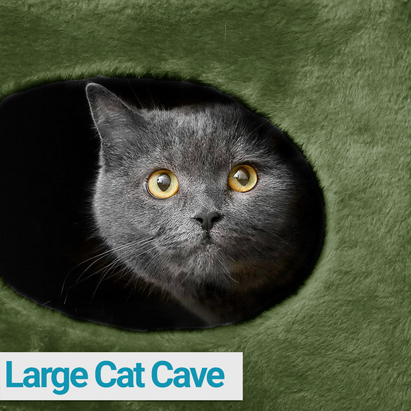 Furrlovers House with Plush Cushion for Cats (Green)