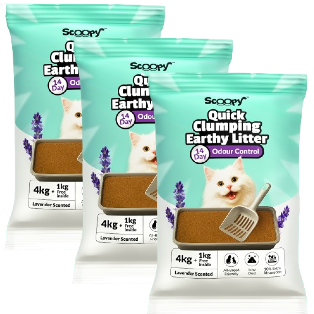 Scoopy Cat Litter | Lavender Scented | 100% Natural Indian Brown Sand Cats-Litter Scoopy 3x5kg