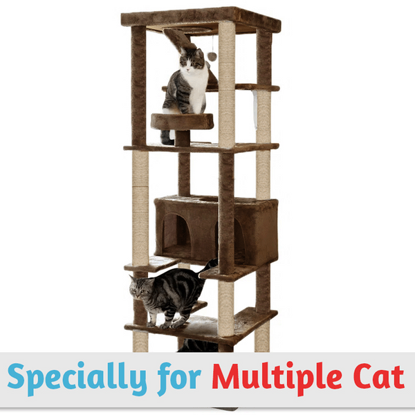 Furrlovers Multilevel Cat Tree with Condo, Ladder & Jute Rope Scratching Posts (Brown)