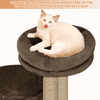 Furrlovers Tree with Condo & Elevated Perch for Cats (Brown) Cats-Toys Furrlovers Dropship