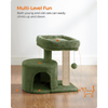 Furrlovers Tree with Scratching Post Condo and Toy Ball for Cats (Green) Cats-Toys Furrlovers Dropship