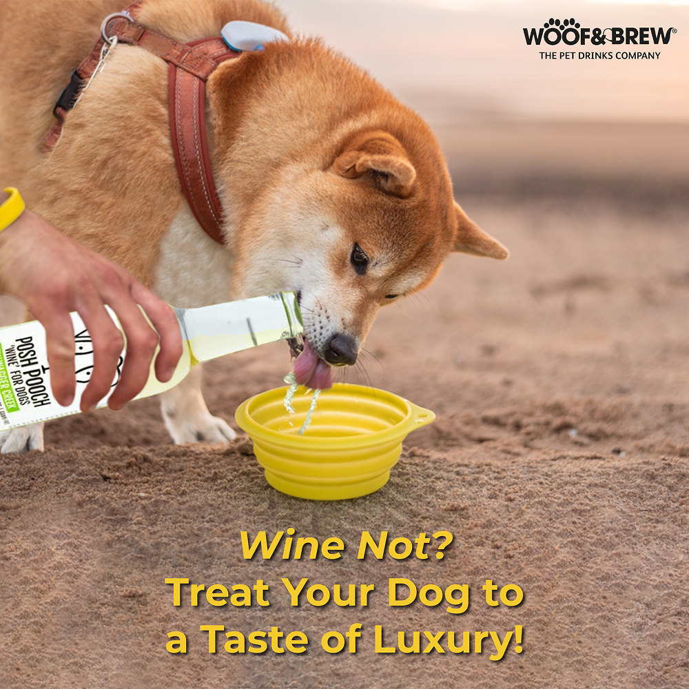 Woof & Brew Posh Pooch Tailwagger Creek Non Alcoholic White Wine for Dogs Dog Treats + Others Woof & Brew