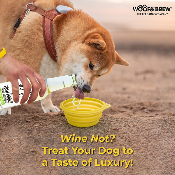 Woof & Brew Posh Pooch Tailwagger Creek Non Alcoholic White Wine for Dogs