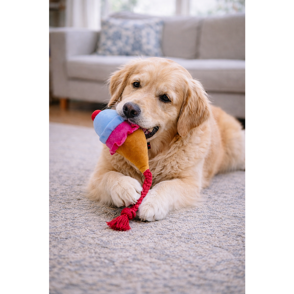 Pawgypets Ice Cream Plush with Rope Toy for Dogs