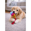 Pawgypets Ice Cream Plush with Rope Toy for Dogs Dogs-Toys Pawgypets Dropship