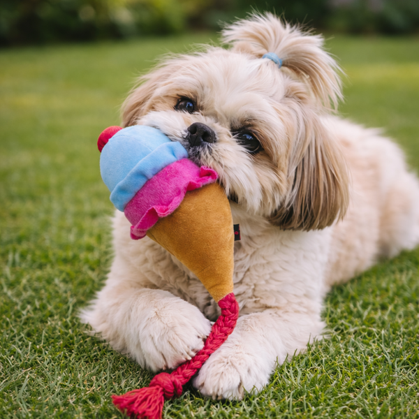 Pawgypets Ice Cream Plush with Rope Toy for Dogs