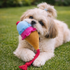 Pawgypets Ice Cream Plush with Rope Toy for Dogs Dogs-Toys Pawgypets Dropship 48cm