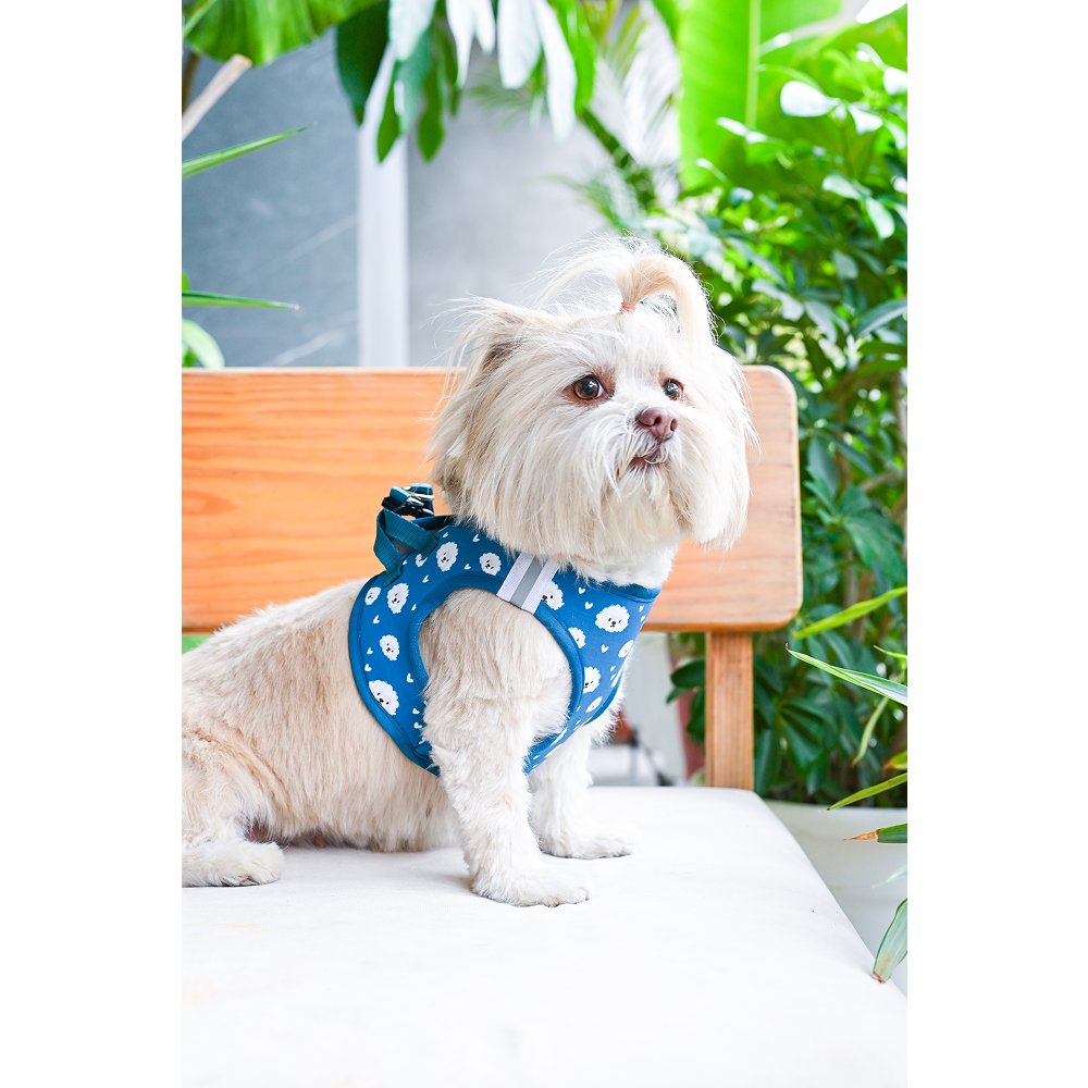 Pets Way Floof Air Mesh Printed Harness for Puppies and Small Dogs Dogs-Collar, Leashes, harnesses Pets Way