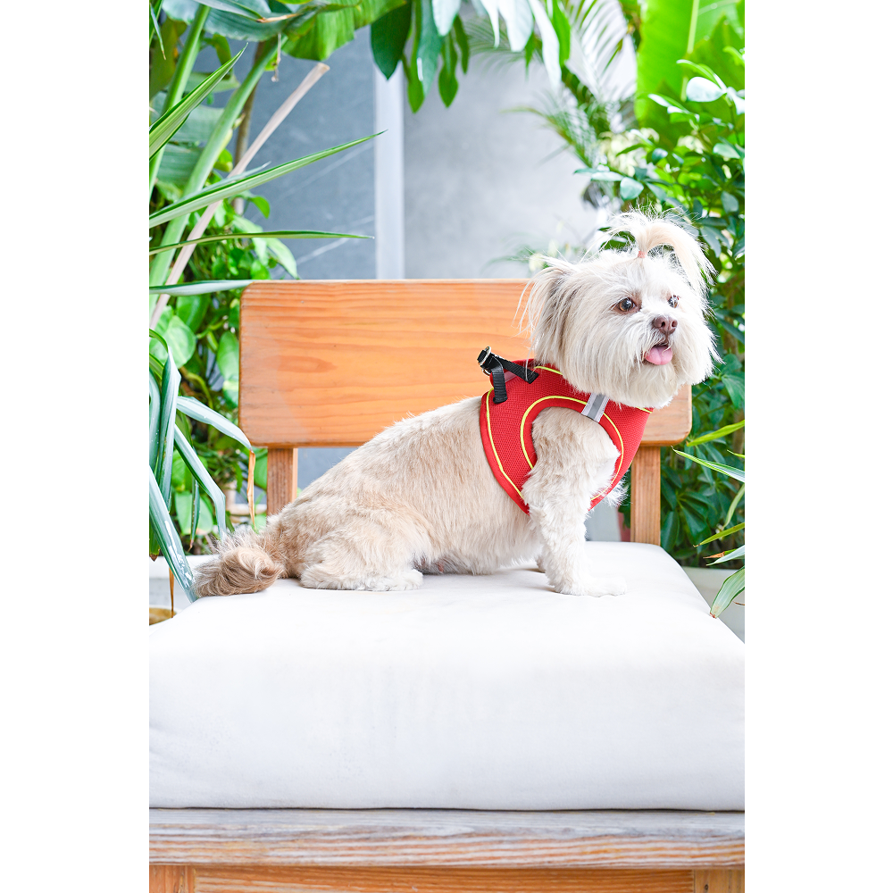 Pets Way Air Mesh Harness for Puppies & Small Dogs (Red) Dogs-Collar, Leashes, harnesses Pets Way