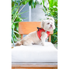 Pets Way Air Mesh Harness for Puppies & Small Dogs (Red) Dogs-Collar, Leashes, harnesses Pets Way
