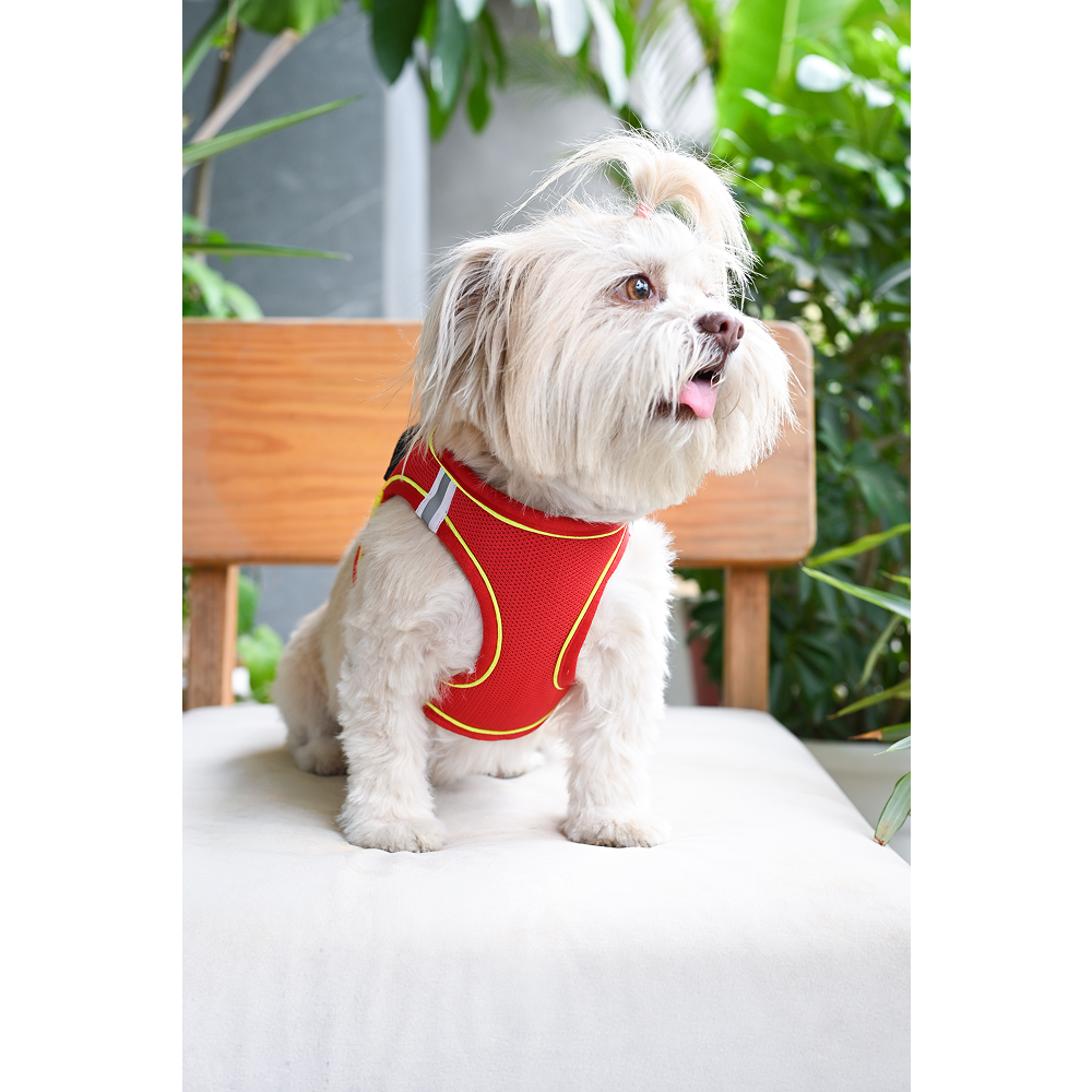 Pets Way Air Mesh Harness for Puppies & Small Dogs (Red) Dogs-Collar, Leashes, harnesses Pets Way