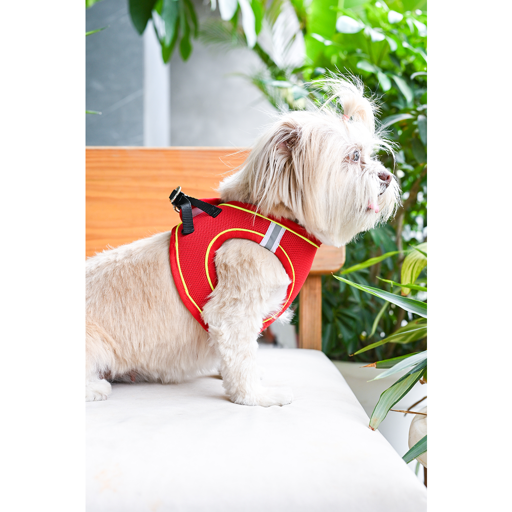 Pets Way Air Mesh Harness for Puppies & Small Dogs (Red) Dogs-Collar, Leashes, harnesses Pets Way