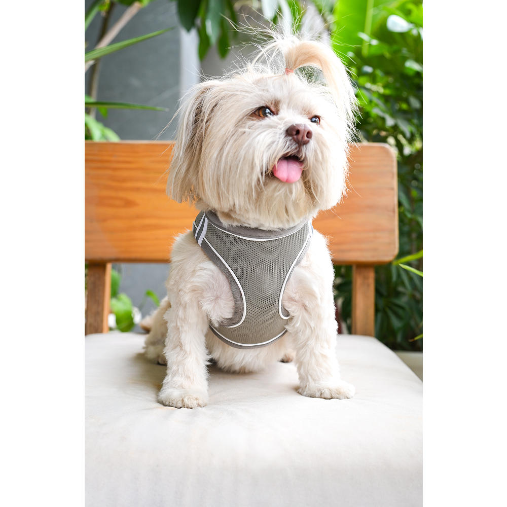 Pets Way Air Mesh Harness for Puppies & Small Dogs (Grey) Dogs-Collar, Leashes, harnesses Pets Way
