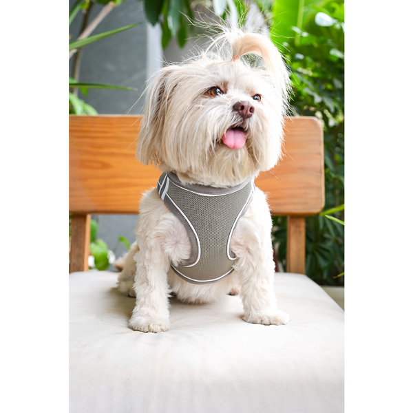 Pets Way Air Mesh Harness for Puppies & Small Dogs (Grey)