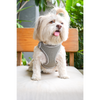 Pets Way Air Mesh Harness for Puppies & Small Dogs (Grey) Dogs-Collar, Leashes, harnesses Pets Way