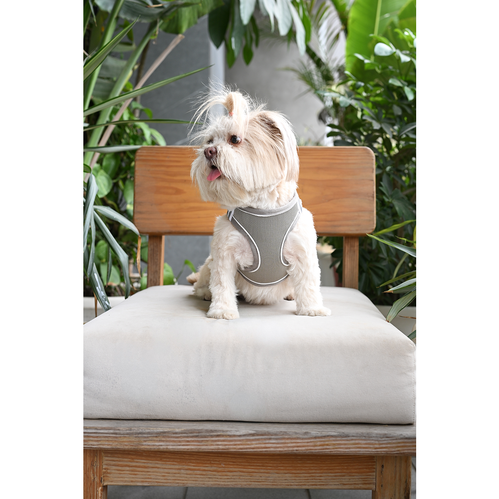 Pets Way Air Mesh Harness for Puppies & Small Dogs (Grey) Dogs-Collar, Leashes, harnesses Pets Way