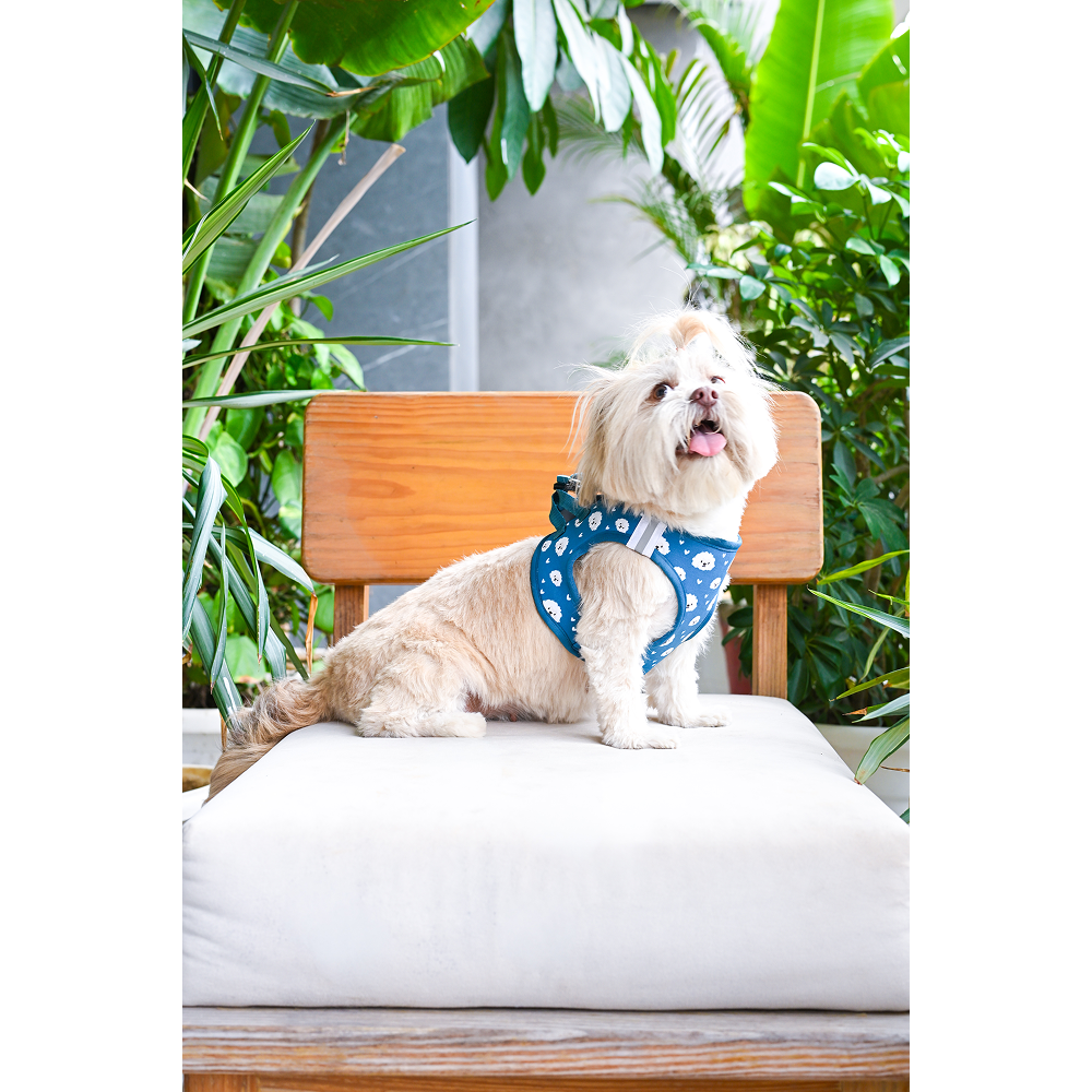 Pets Way Floof Air Mesh Printed Harness for Puppies and Small Dogs Dogs-Collar, Leashes, harnesses Pets Way