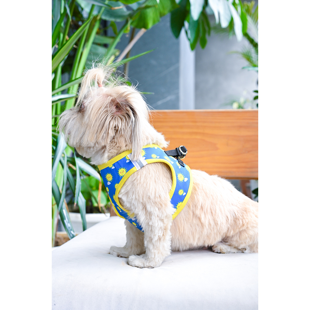 Pets Way Sunny Air Mesh Printed Harness for Puppies and Small Dogs Dogs-Collar, Leashes, harnesses Pets Way