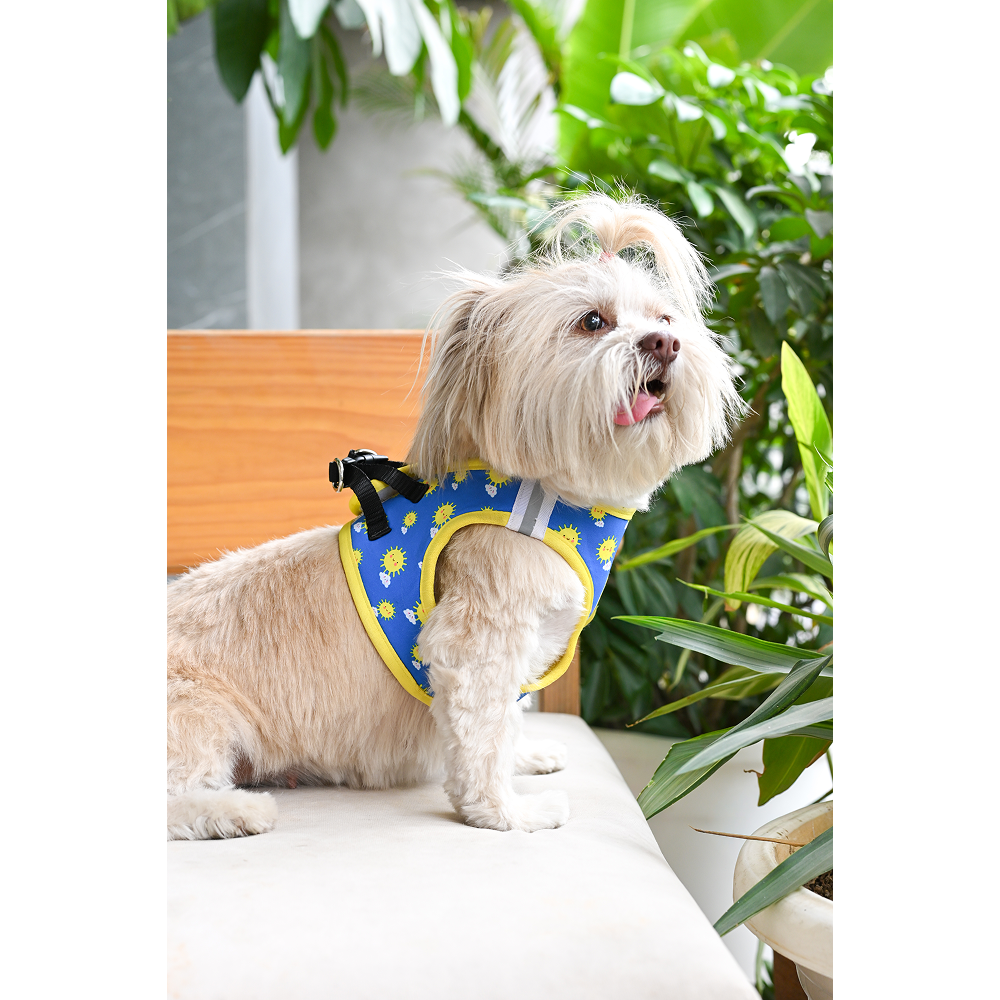 Pets Way Sunny Air Mesh Printed Harness for Puppies and Small Dogs Dogs-Collar, Leashes, harnesses Pets Way
