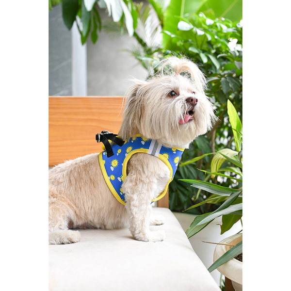 Pets Way Sunny Air Mesh Printed Harness for Puppies and Small Dogs